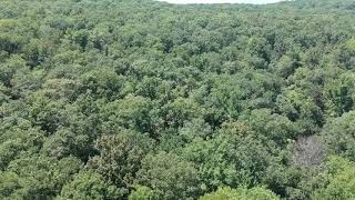 preview picture of video 'Devil’s Den Arkansas State Park flying from lake dji Spark going over trees'