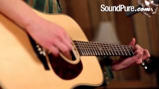 Video thumbnail for Bourgeois Ray Lamontagne Signature Dreadnought Demo by soundpurestudios