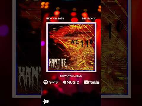 #newmusicalert #musicdiscovery #synthtok #synthwavemusic #chicagotiktok #xanthe #music #newmusic