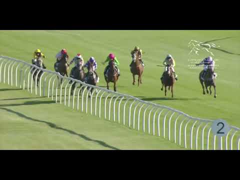 WATHBA STALLIONS CUP - LINGFIELD RACECOURSE  |  05/08/2024