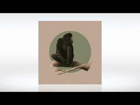 Track of the Day (26/12/2020) ~ LOC, Gabrielle Pollina - Table Mountain (Original Mix)