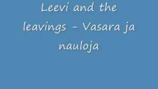 Video thumbnail of "Leevi and the leavings - Vasara ja nauloja"
