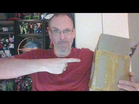 GotBot Goes Live: Haslab Victory Saber, N.E.S.T Bee, X-transbots, Fans Hobby & an Unboxing