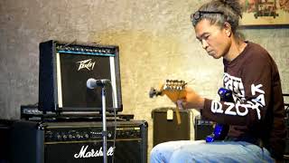 Video thumbnail for PEAVEY ENVOY 110 by Surin Vintage