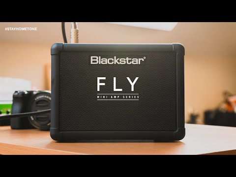 FLY 3 Mini Amp