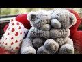Teddy Bear Song - Barbara Fairchild.avi 