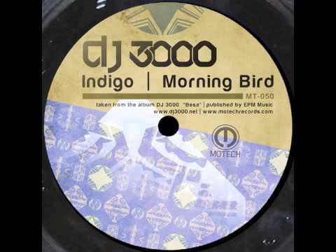 DJ 3000 - Indigo