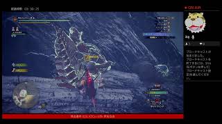 MHW:IB 危険度3 珠集め、導きの地まわし。アイスボーン モンハン　part 006