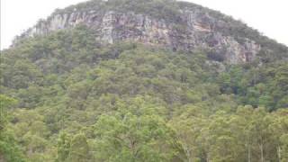 concrete blonde lullaby