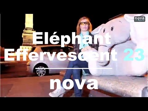 L'Eléphant Effervescent - Episode 23 • Nova