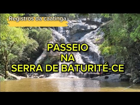 Passeio na Serra de Baturité -Ce. #viagens #ceará#nordeste #serra #aves 