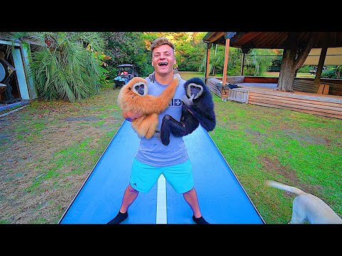 download lagu mp3 mp4 Jack Payne, download mp3 Jack Payne free download mp3, download mp3 Jack Payne