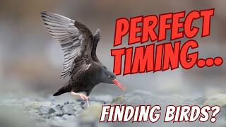Why Timing is Everything!