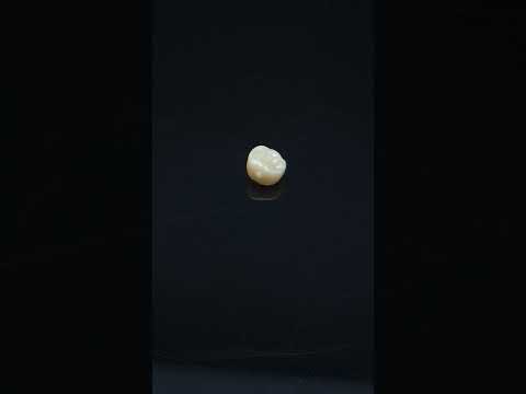 YouTube 썸네일
