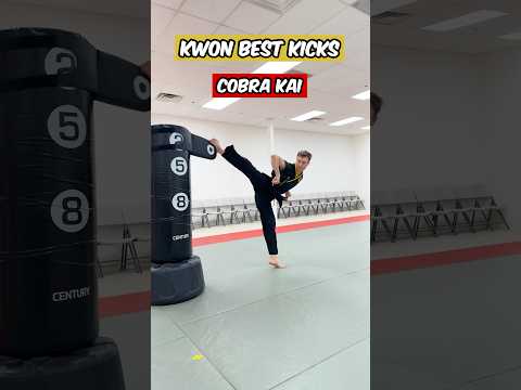 Kwon Best Kicks | Cobra Kai #shorts #martialarts #cobrakai
