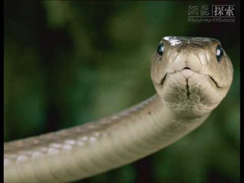 flaca de las coloradas