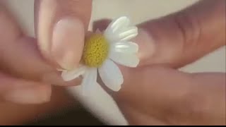 LANA DEL REY - “PRETTY BABY” (MUSIC VIDEO)