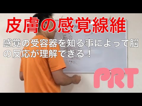 感覚について詳しく解説