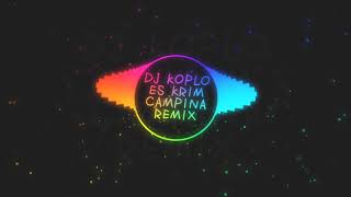 Download lagu Dj Es Krim Campina Versi Koplo. mp3