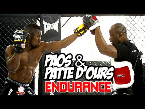PAO — Travail technique