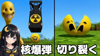 【マイクラ】最強AI『ベリティ』を本気で討伐しようとした結果...～海外で大人気の「会話できるモブ」を調査・検証する編～【ゆっくり実況・verity・ベリティ】 #minecraft   #ホラー