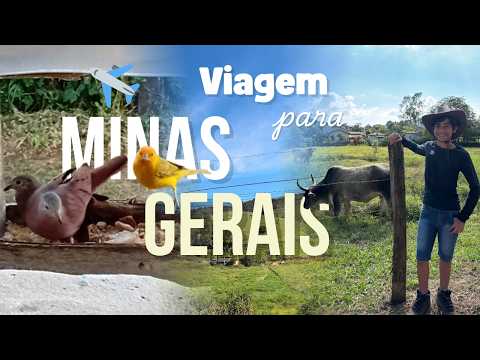 Viagei para Minas Gerais!!!