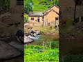 What A Beautiful View Of Nature Sukoon Nature Shorts