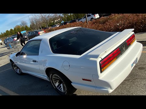 3rd gen firebird  1991 Pontiac firebird bird 👀 ….  December 29, 2022