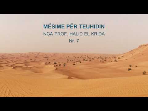 TEUHIDI Prof. Halid El Krida 07