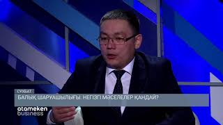 Балық шаруашылығы: негізгі мәселелер қандай?