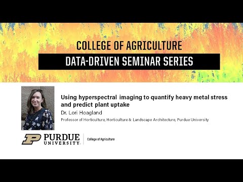 Using Hyperspectral Imaging to Quantify Heavy Metal Stress and Predict Plant Uptake