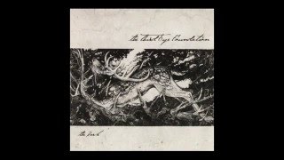 The Third Eye Foundation - The Dark (Full Album)