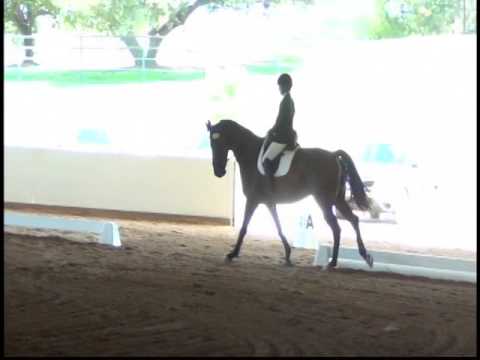 Murieta Equestrian Center 09/02/2016