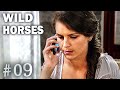 WILD HORSES - Episode 9 - Série COMPLETE en Français