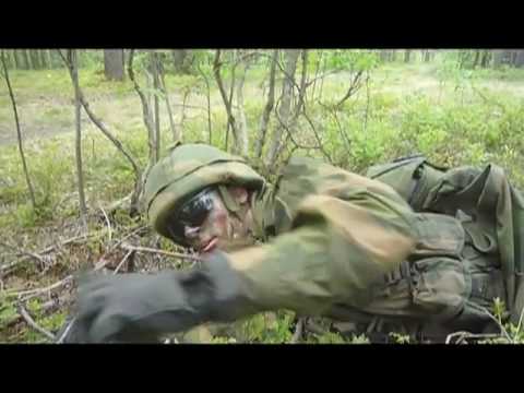 Stridsvogneskadron 2 Dimmefilm Kontigent 08-09