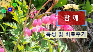 [농사정보(4월 중순)]  참깨_특성 및 비료주기