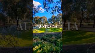 1人の時間を楽しむオーストラリア🇦🇺パースの公園/春の景色に癒される🌿オーストラリア#Australia #Perth#travel#shortvideo #shorts #nature