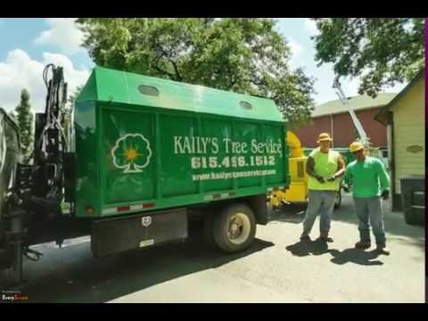 download lagu mp3 mp4 Tree Service Nashville Tn, download lagu Tree Service Nashville Tn gratis, unduh video klip Tree Service Nashville Tn