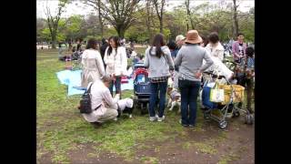 2015-04-12 Yoyogi Park