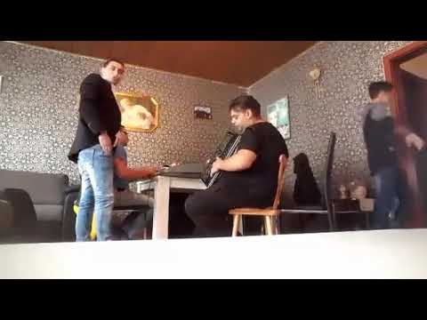 momir amzic popaj boja igor