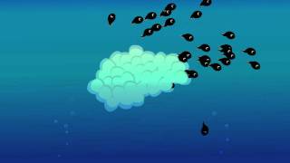 Frog life cycle animation