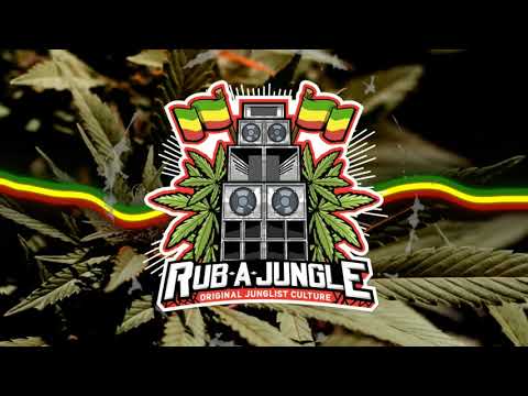 🟩🟨🟥 Fracture x Sam Binga x Rider Shafique - She Want It Ruff (Karlixx Bootleg)