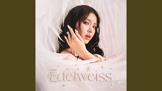 Baru Rilis! Lirik Lagu Cinta Seperti Aku - Tiara Andini: Coba Saja Silahkan Cari, Cinta Seperti Aku