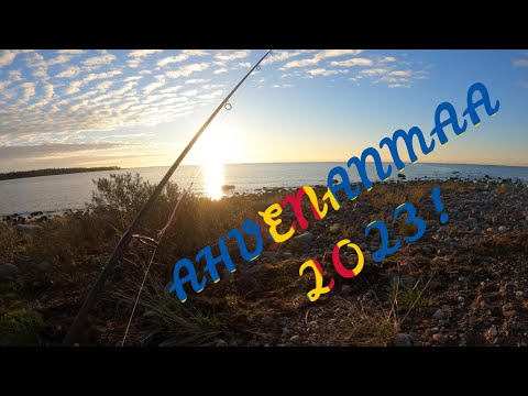 300 Tuntia - Ahvenanmaalla meritaimenen perässä