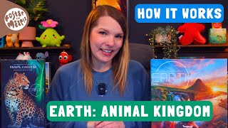Foster the Meeple - Earth: Animal Kingdom video thumbnail