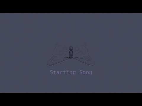 Trying VIM Maybe?, Clojure, Fennel dev. VOD 140