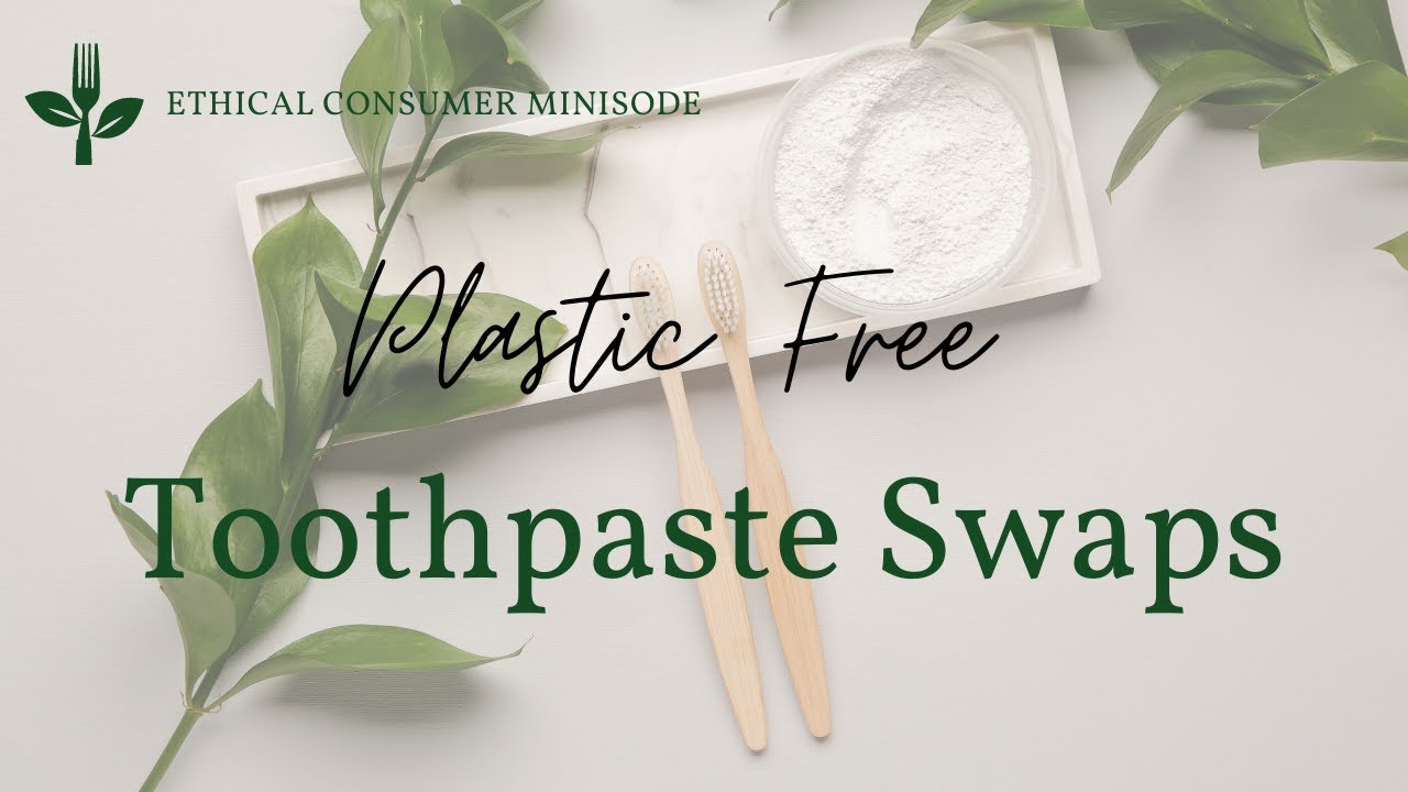 Plastic Free Toothpaste Swaps for Everyone
