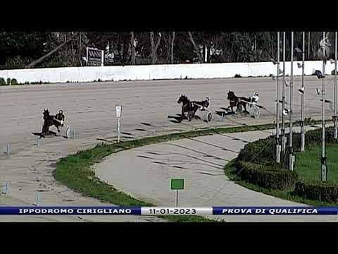 Aversa trotto 11 Gennaio 2023 - Prova di qualifica