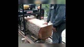 Do you already have your Mikuman?