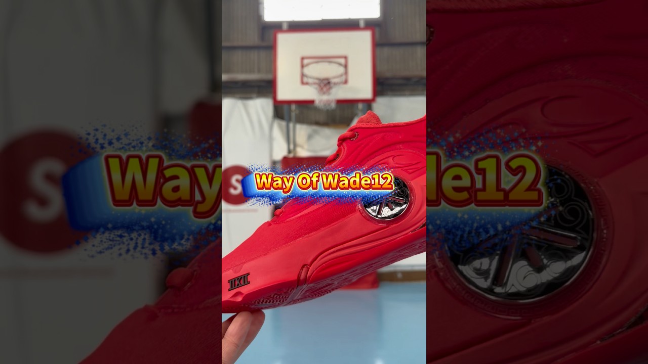 【バッシュ】wayofwade12が高性能過ぎた‼️